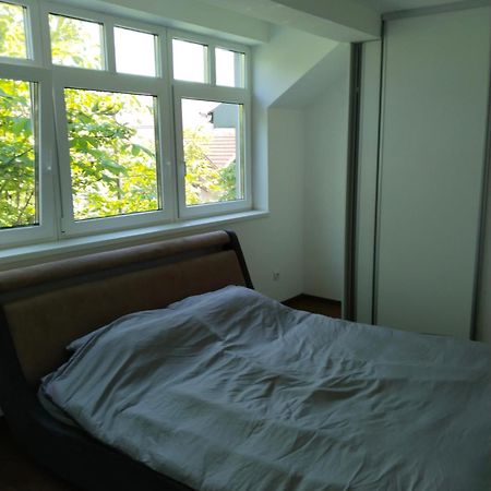 Sandra Apartmani Vrsac Exterior foto