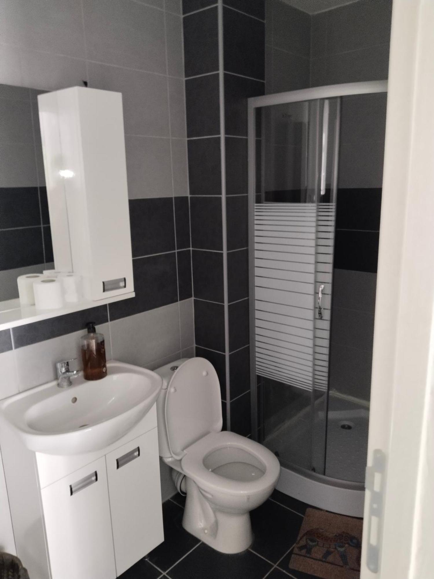Sandra Apartmani Vrsac Habitación foto